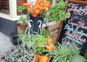 Floral & Hardy Edible Plants